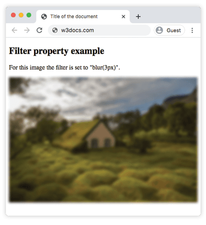 An image with the CSS filter blur(3px) applied