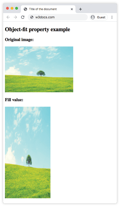 CSS object-fit fill value stretching an image