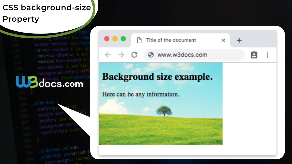 Css Background Size Property