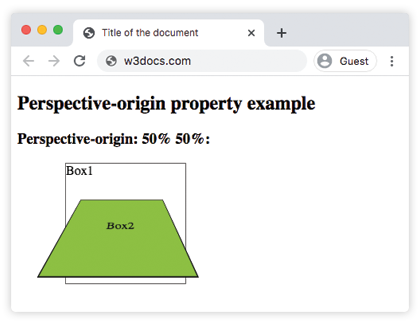 SS perspective-origin left value