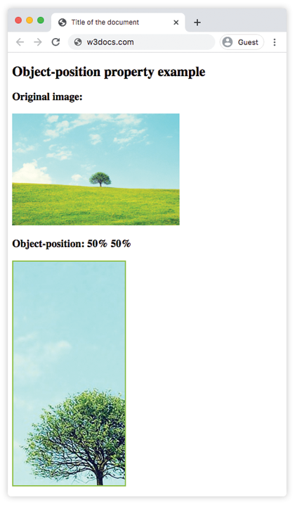 CSS object-position left