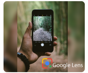 Google lens: Your One-stop Solution