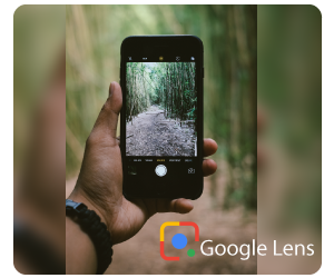 Google lens: Your One-stop Solution